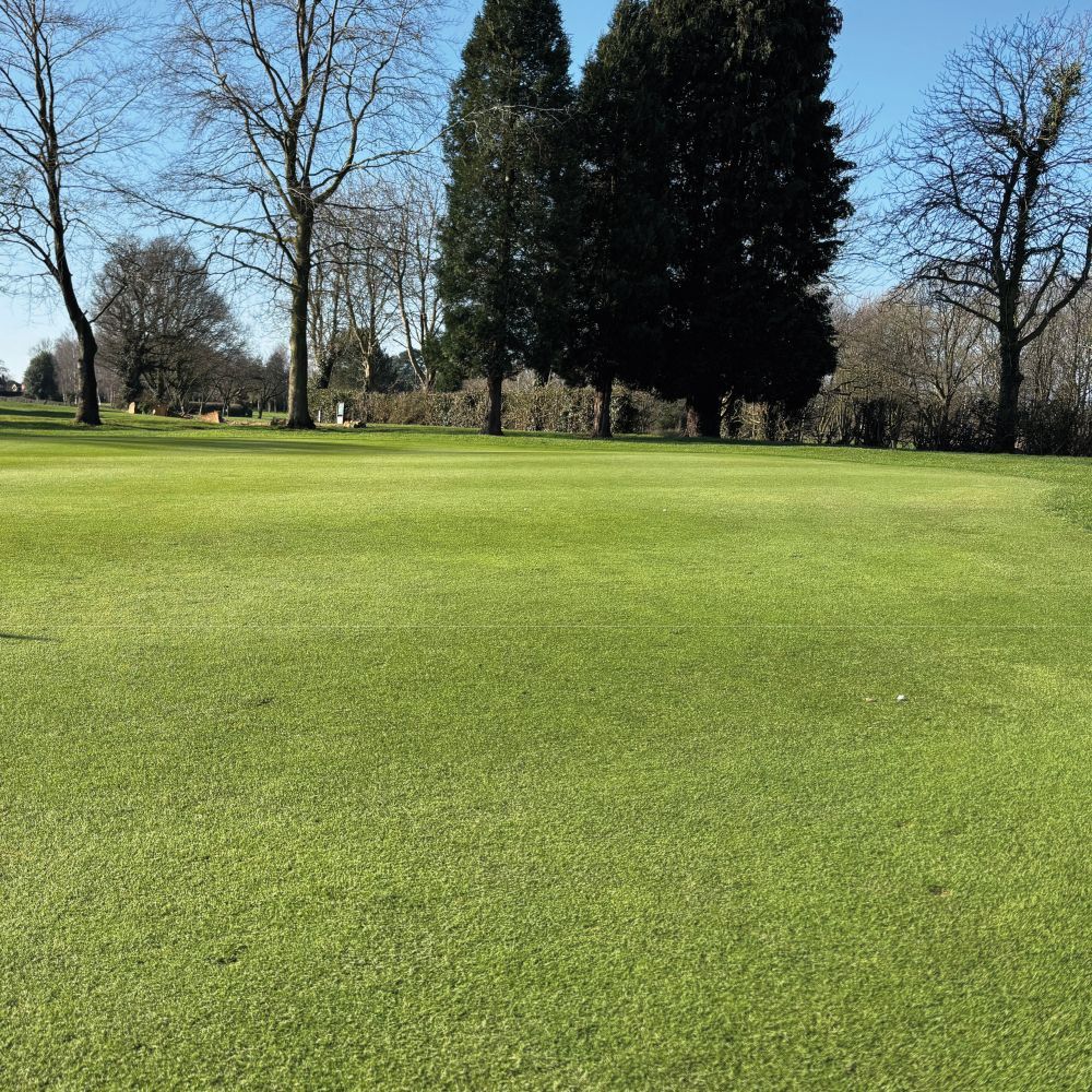 Indigrow tweet media