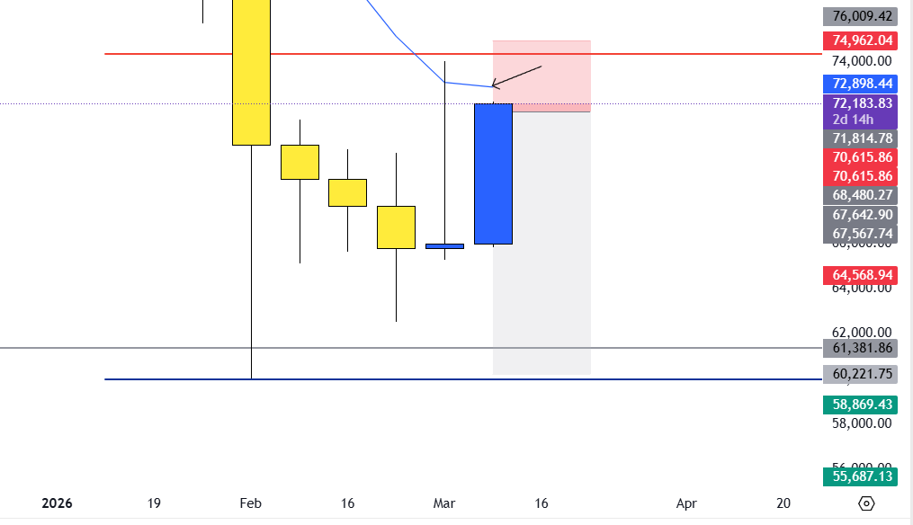 Dex 🕸️ tweet media