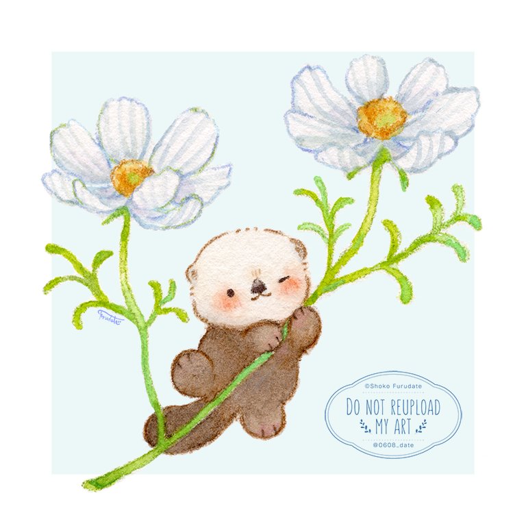 だてちゃん tweet media