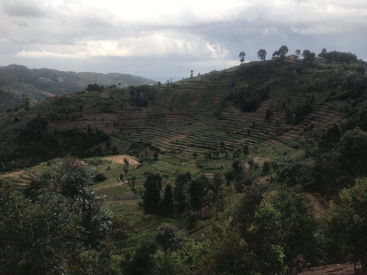 IJAMBO.NET tweet media