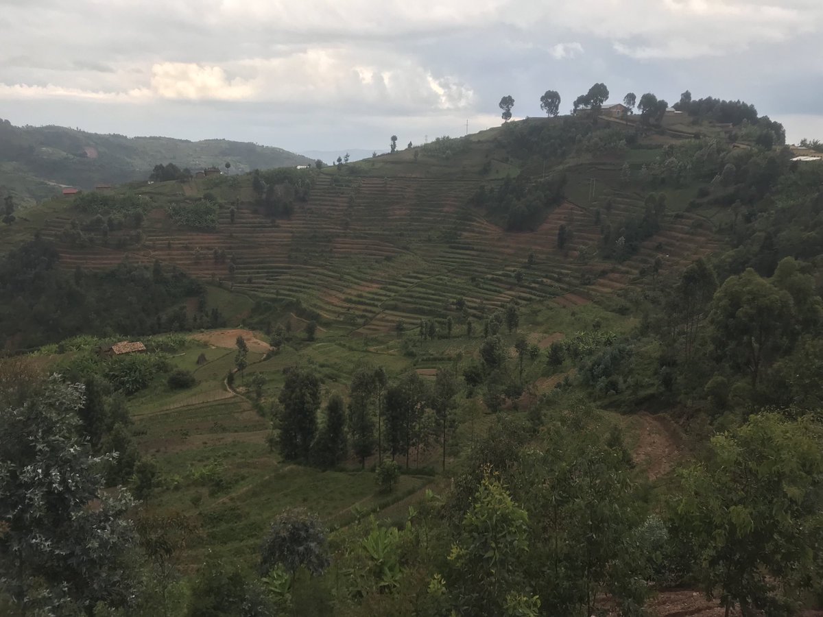 IJAMBO.NET tweet media