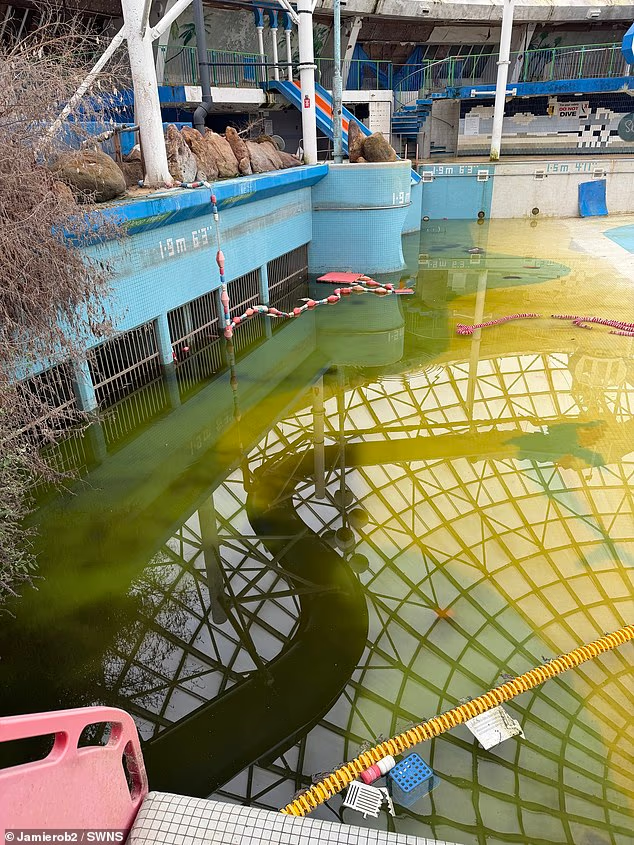 Quasimomo 🌎🔚☠️🔥🚌🔥💨 tweet media