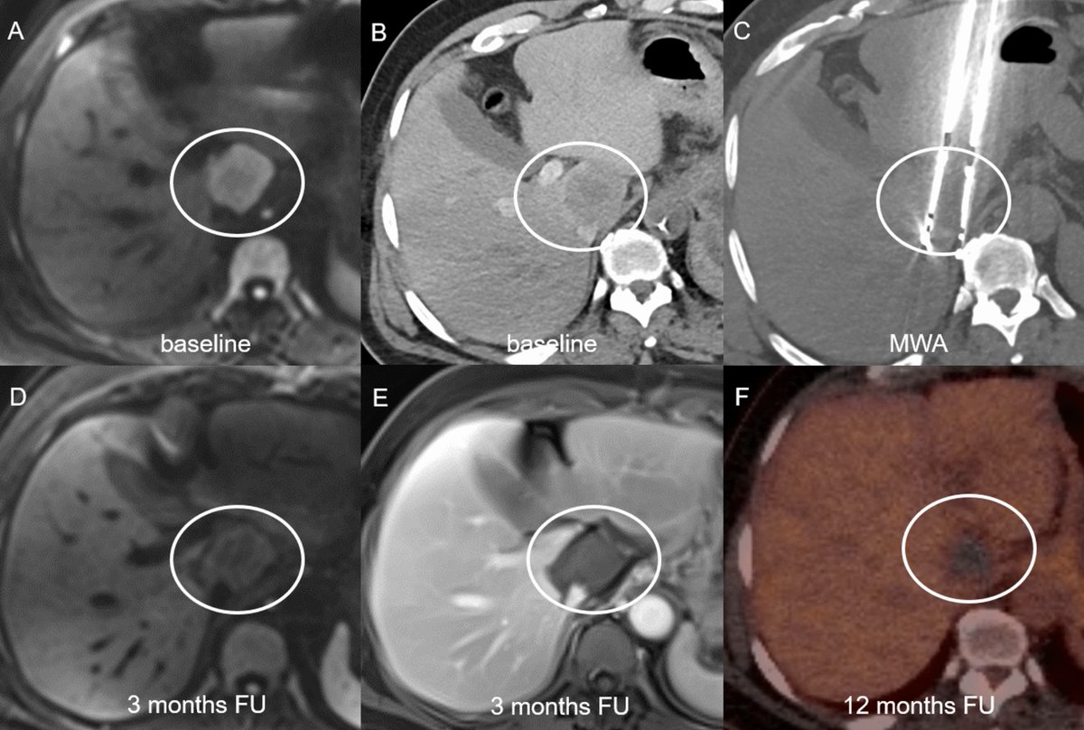 CVIR Journal tweet media