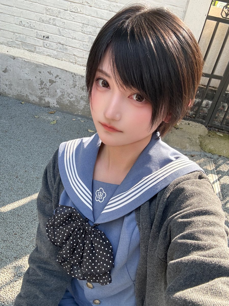 komoshuai's tweet photo. ✨😺 https://t.co/kzYTjbsSrK