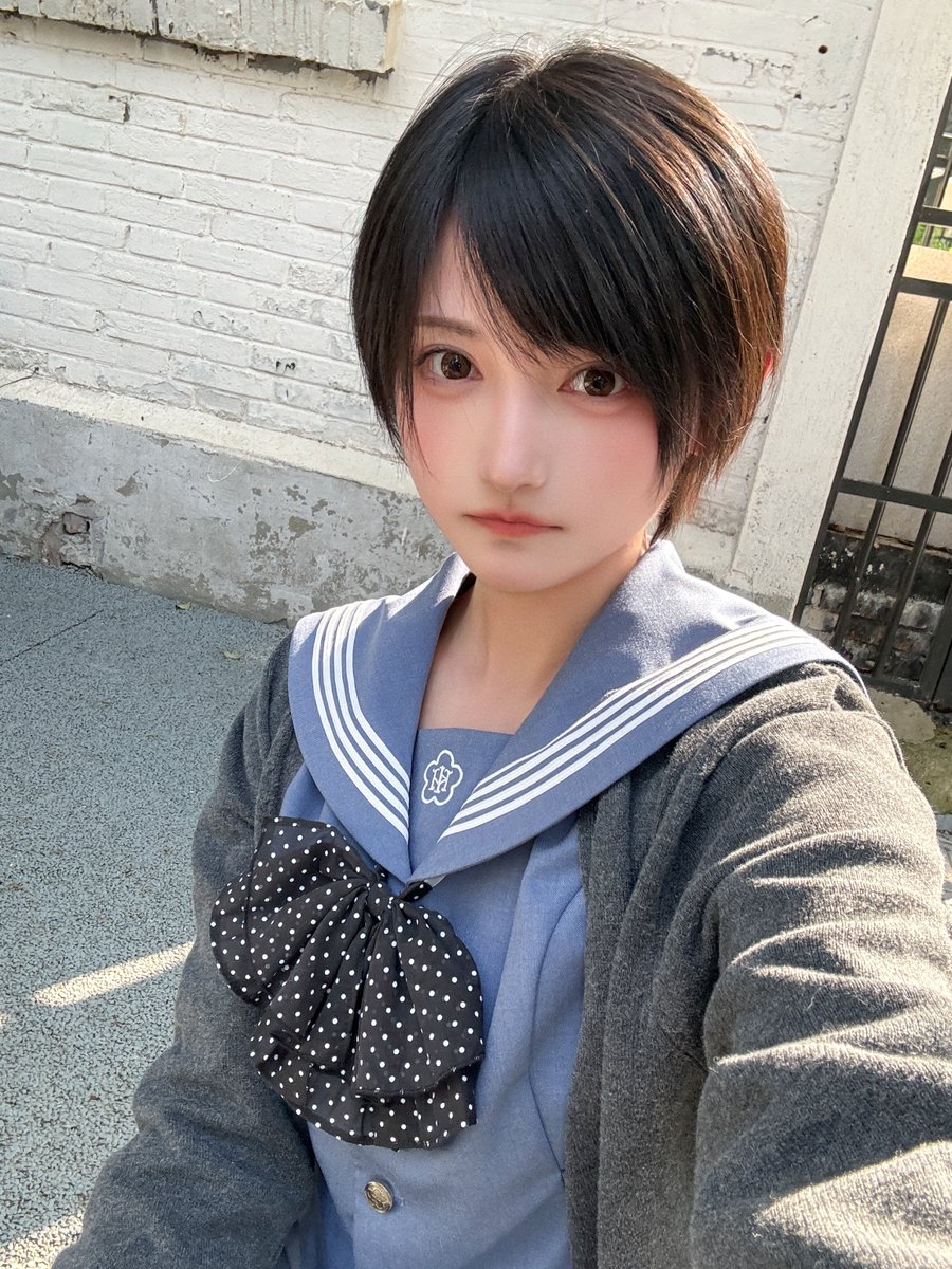 komoshuai's tweet photo. ✨😺 https://t.co/kzYTjbsSrK