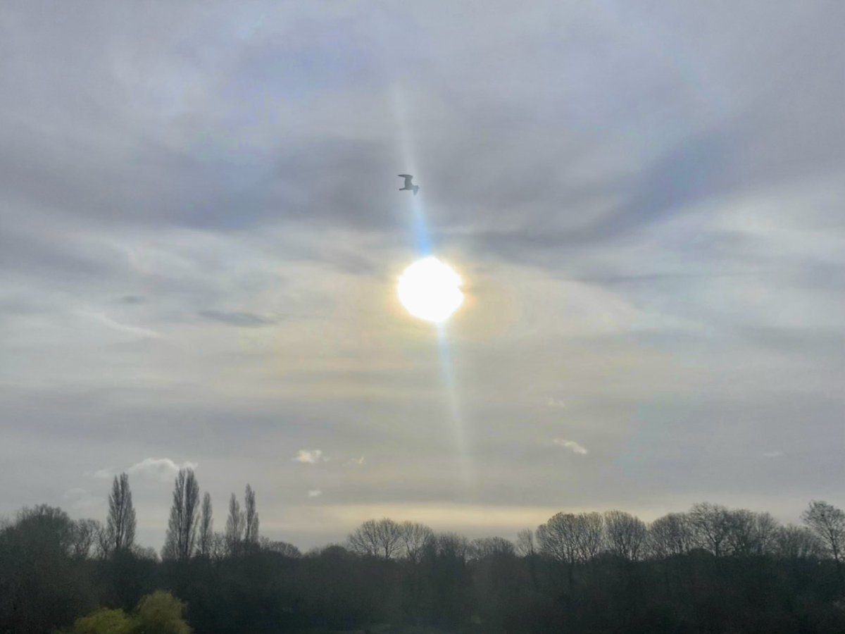 ruths_gallery's tweet image. Just a trace of a sun halo? 

#fridaymood  #viewfrommybalcony #twickenham