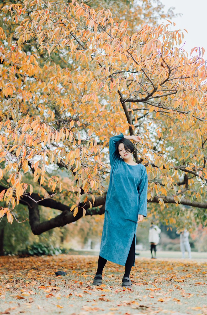 ダダダ tweet media