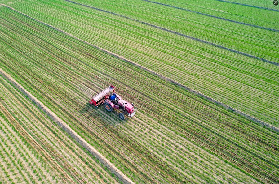 Shandong Official tweet media