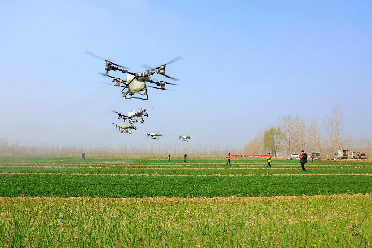 Shandong Official tweet media