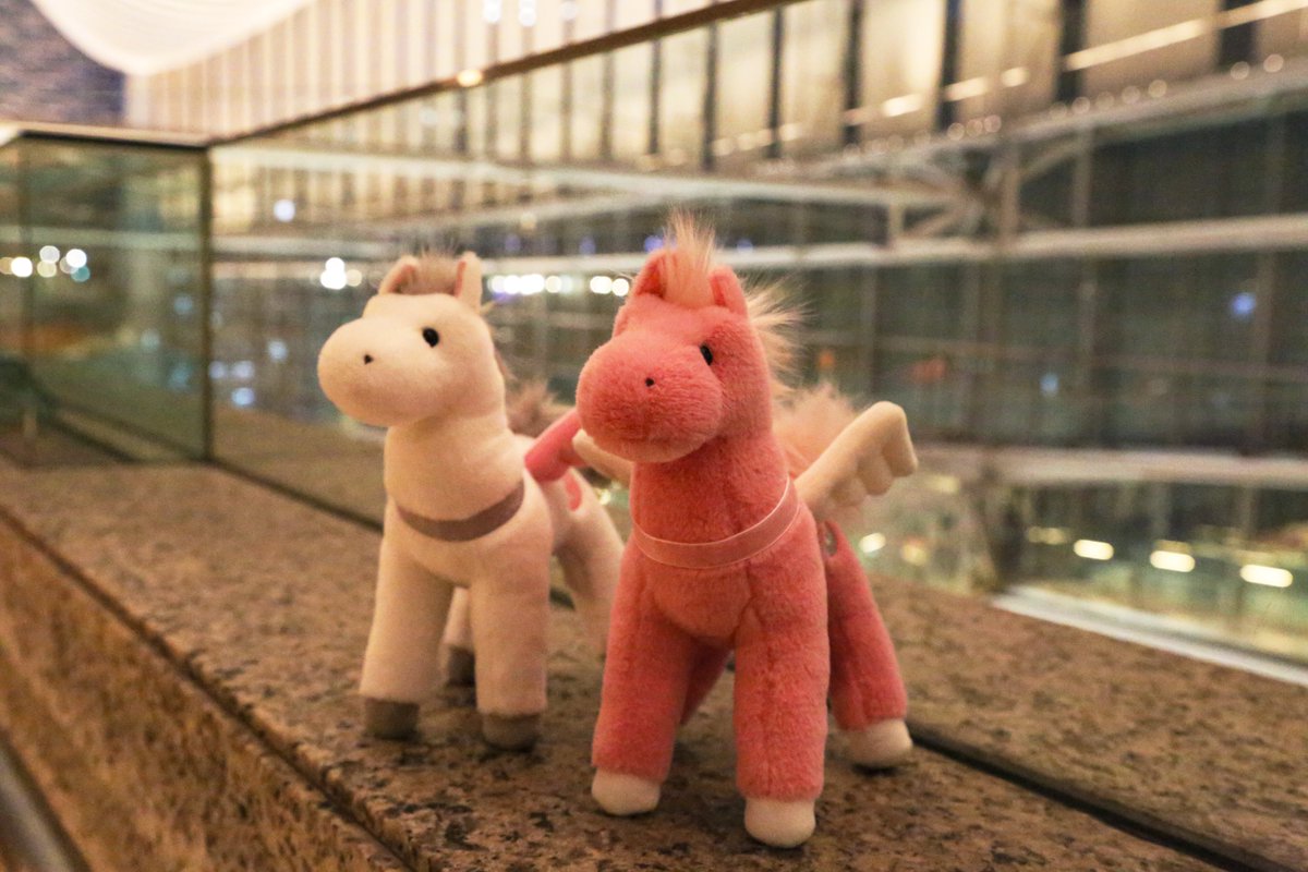 【プレゼントキャンペーン🎁】
皆様！大変お待たせいたしました！
前回のLFJ2025アップサイクルグッズのキャンペーンに続き、今回は【#干支ぬいぐるみ🐎】のプレゼントキャンペーンです！

応募方法は「このアカウントをフォロー」&amp;「このポストをリポスト」です！ 期限は【3/23（月）】まで！