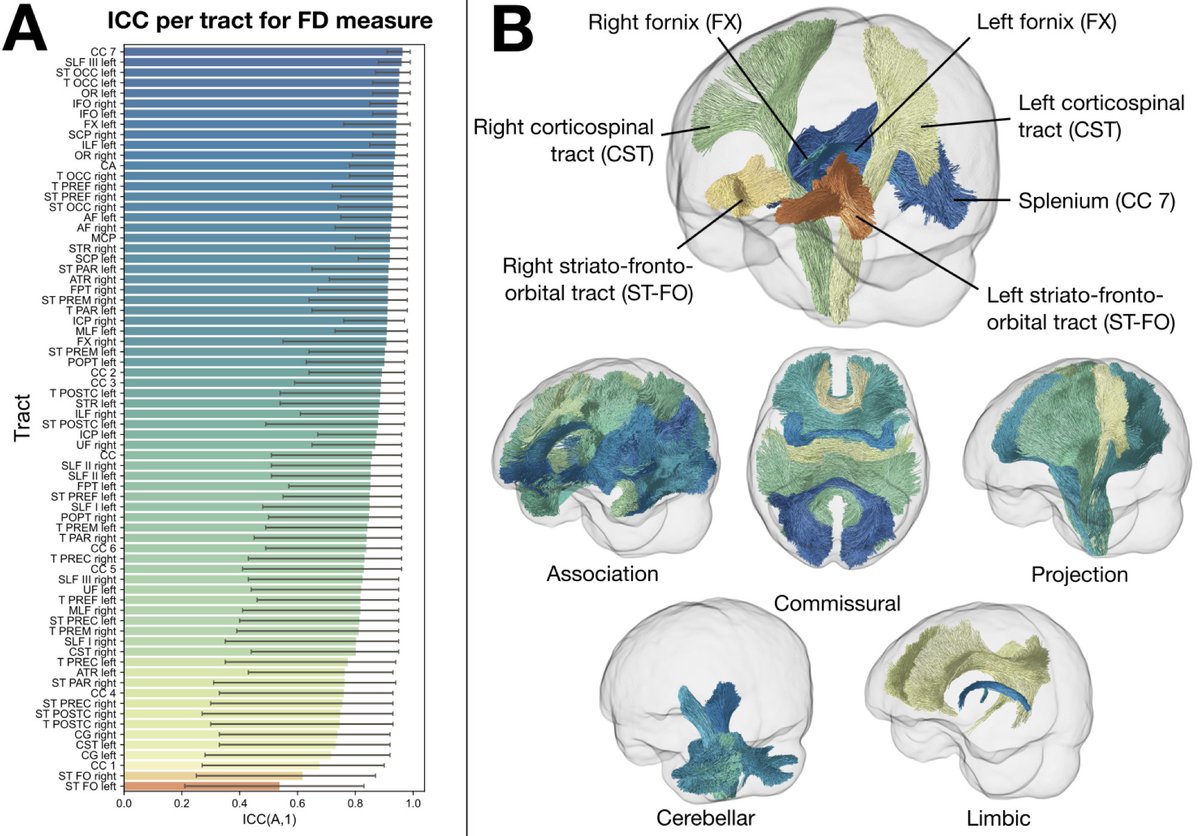 Imaging Neuroscience tweet media