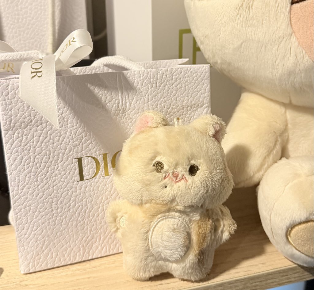 🐱ྀི tweet media