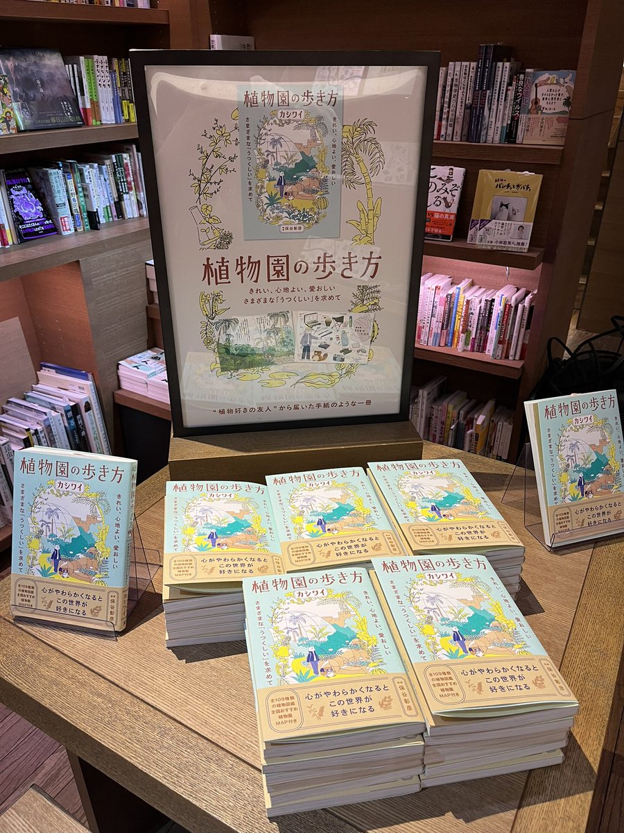 代官山 蔦屋書店 人文・文学・ビジネス tweet media