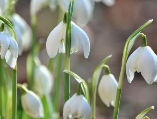 Kimberley tweet media