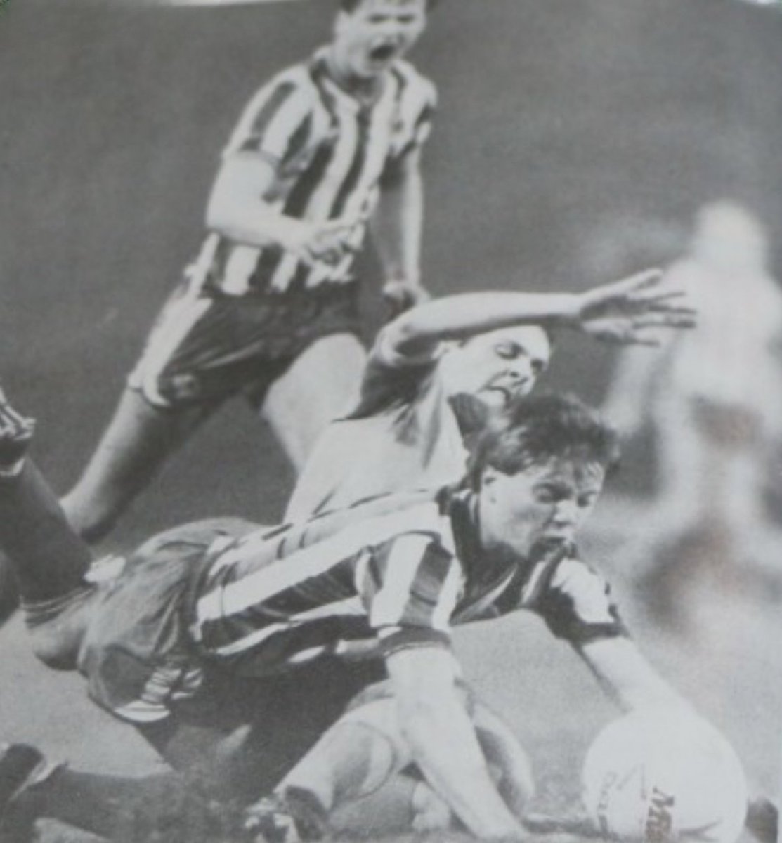 SkylineOwl🦉 tweet media