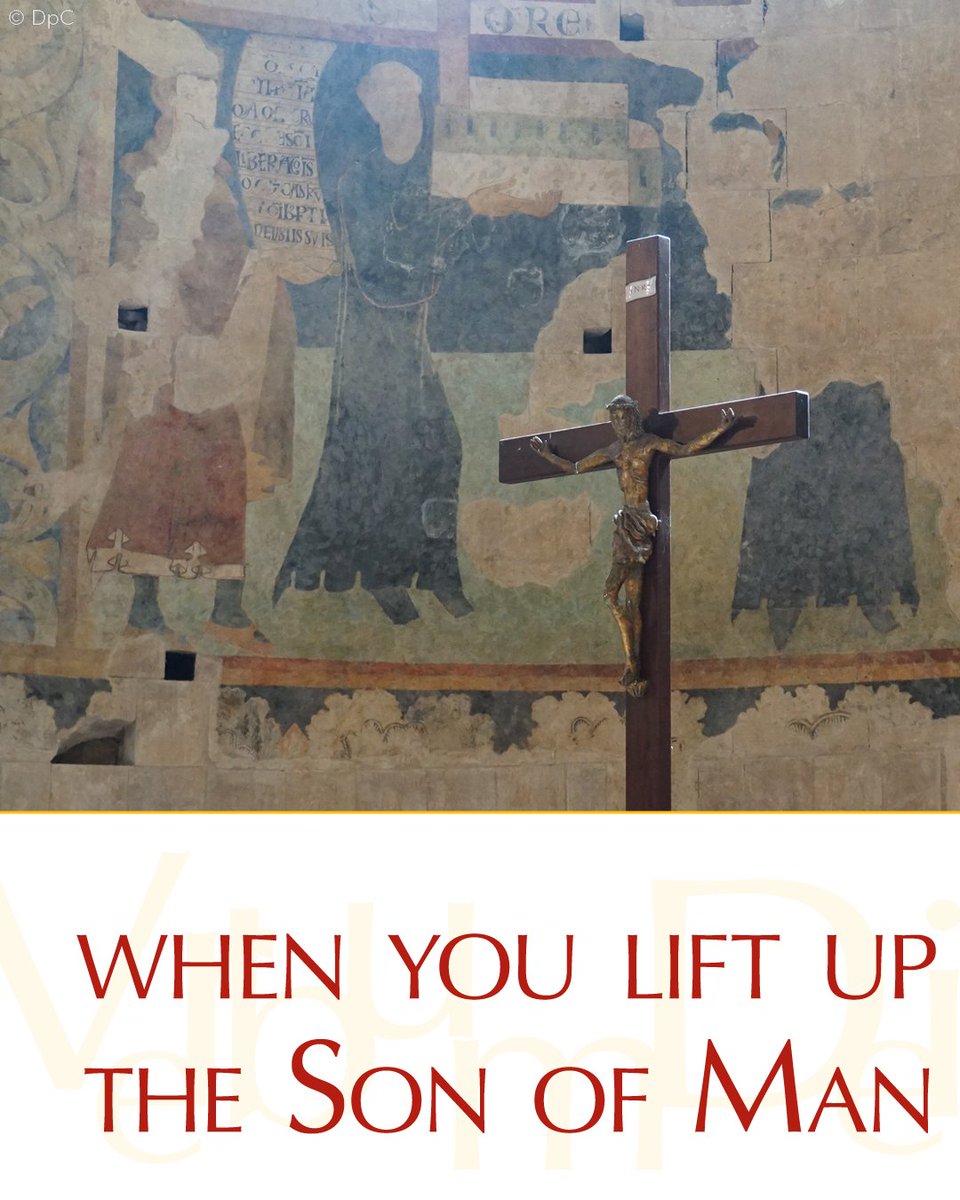 Vatican News tweet media