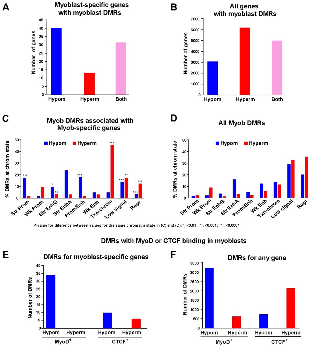 Epigenomes MDPI tweet media