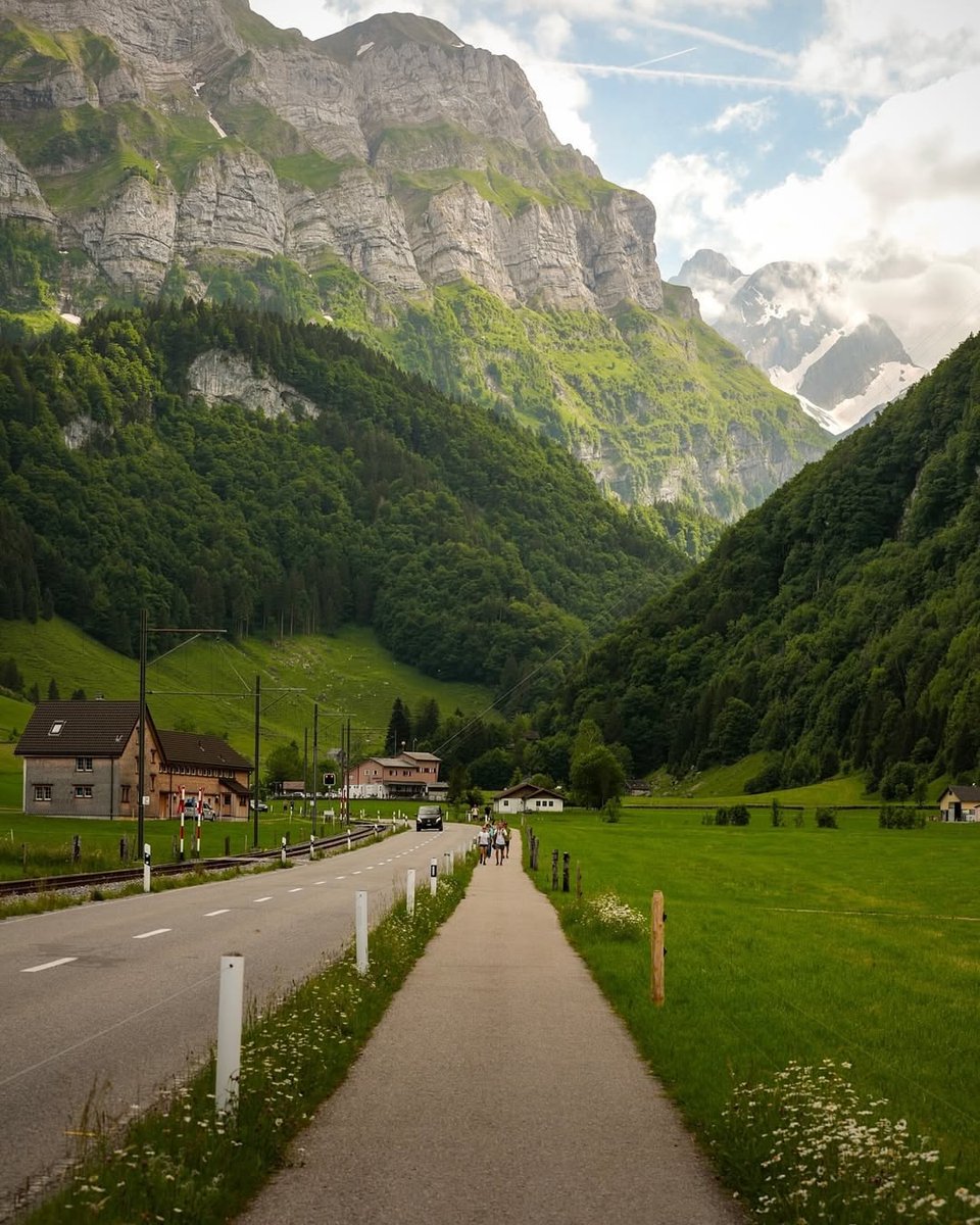 Purely Green tweet media