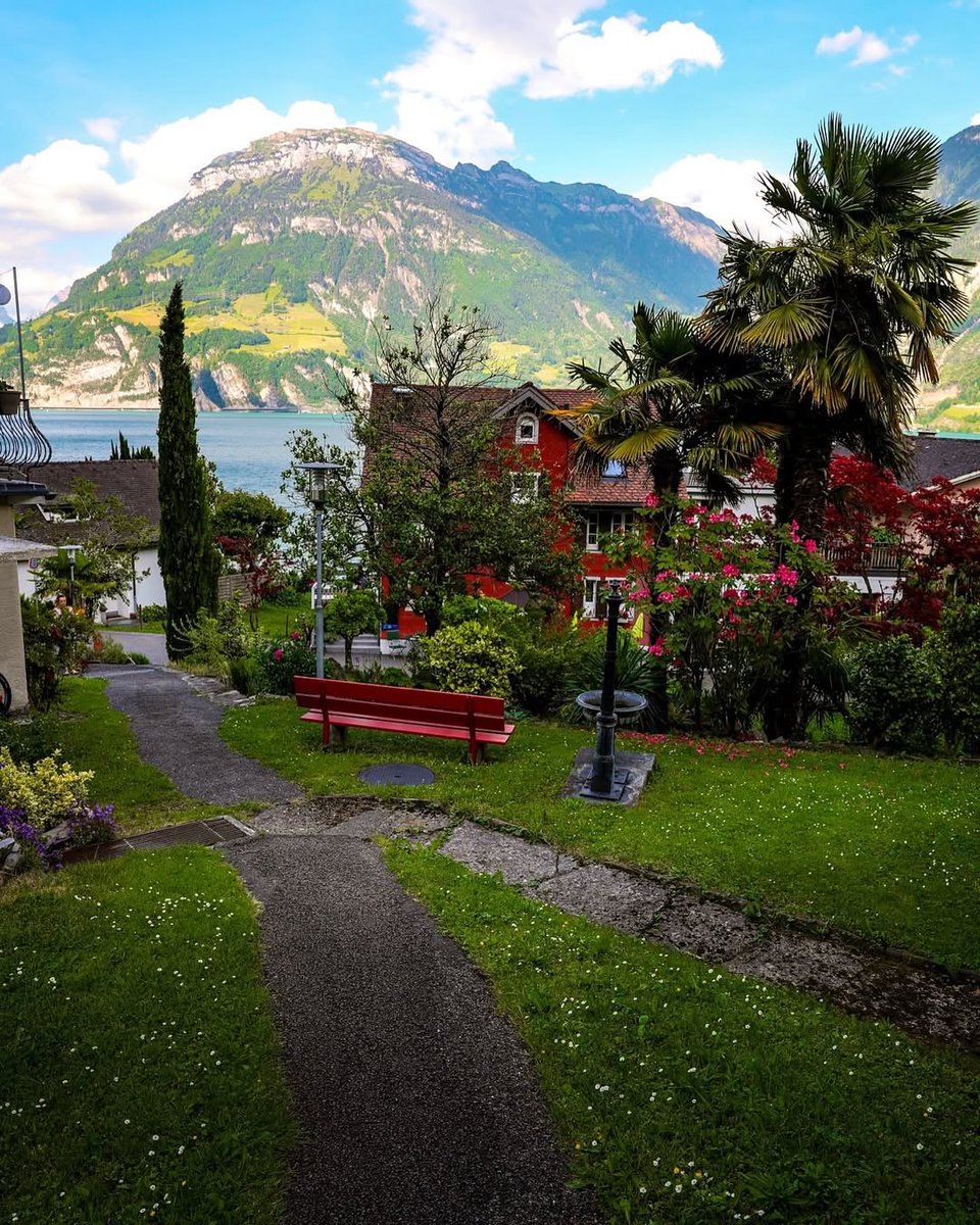 Purely Green tweet media