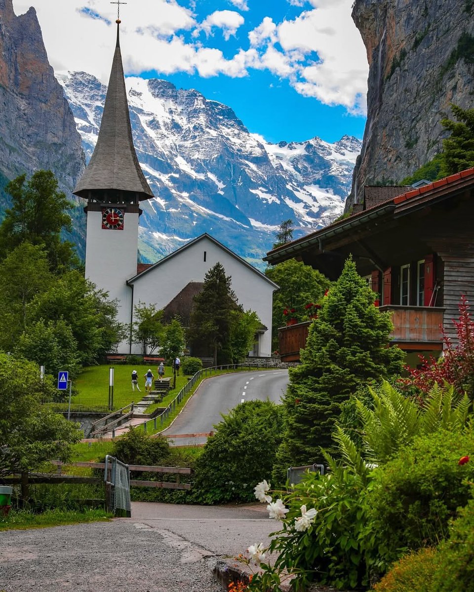 Purely Green tweet media