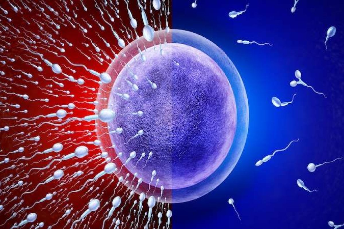 Drug Discovery World tweet media