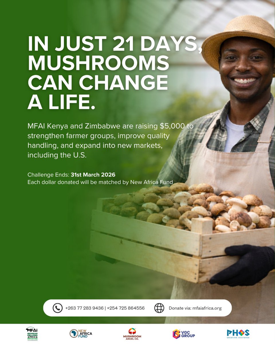 Michigan Fellows Africa Initiative (MFAI) tweet media