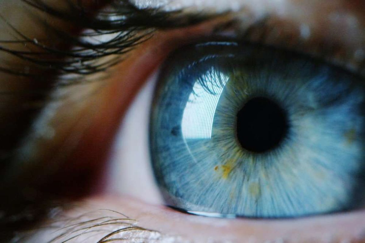 Drug Discovery World tweet media