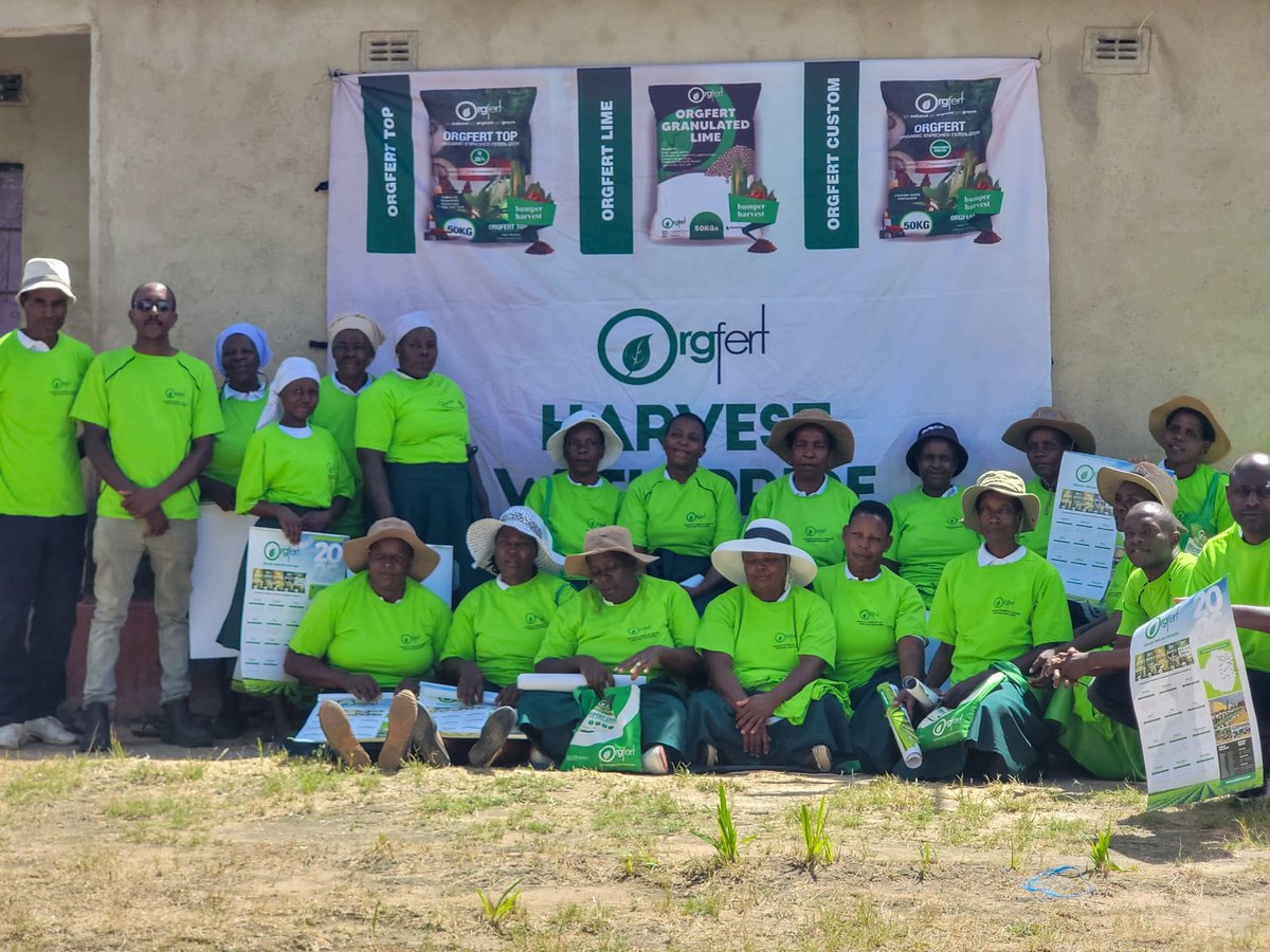 Orgfert1's tweet photo. Women Power!!

From humble beginnings to Pfumvudza champion farmers, we celebrate the hardworking women of Kurongeka Inputs Club, Juru.

#WomensMonth
#kohwazvinodadisa 
#harvestwithpride 

0785672500 https://t.co/4QYvu9G1vE