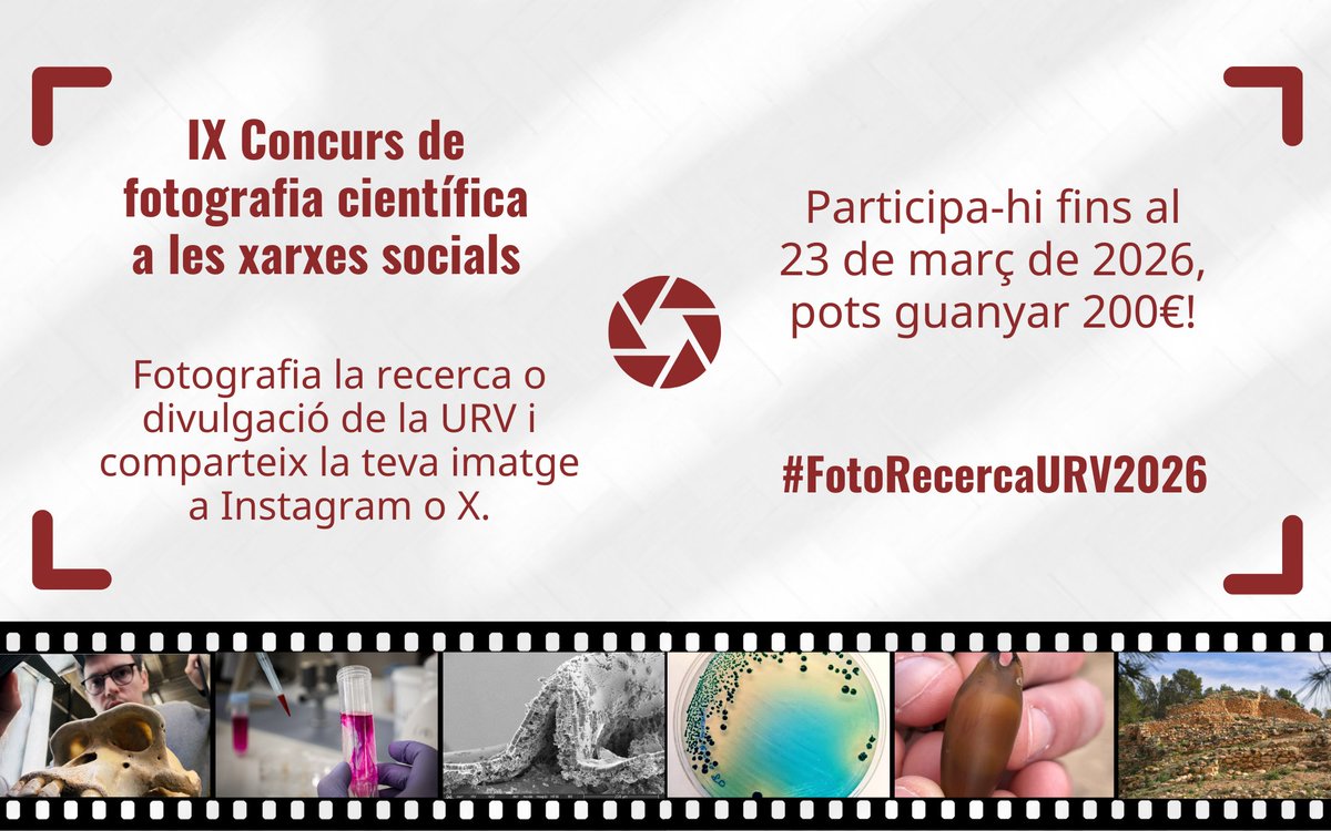 Universitat Rovira i Virgili tweet media