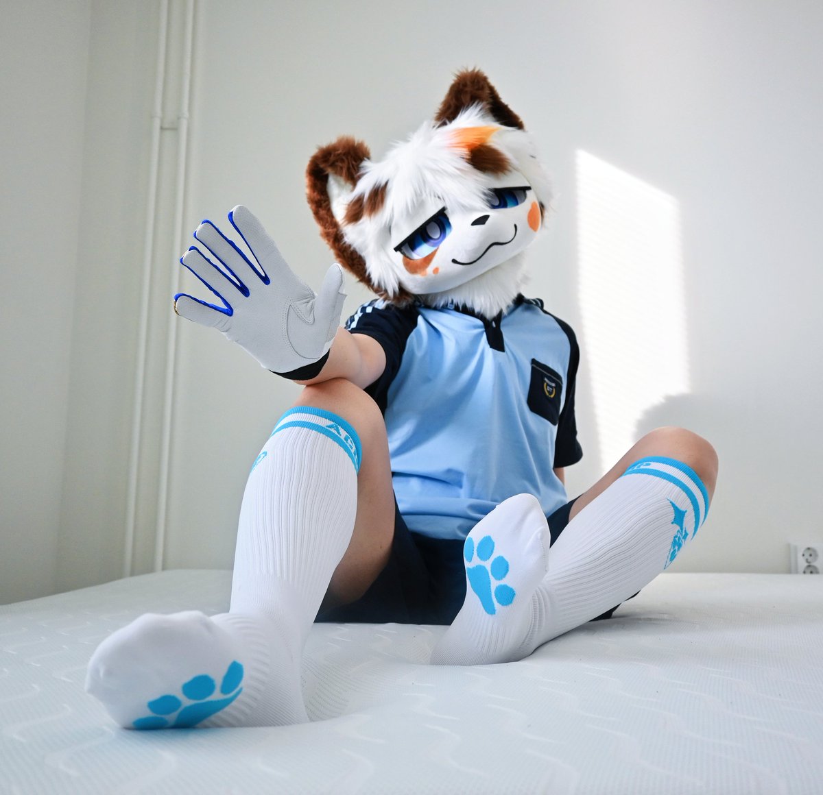 泽良的小猫窝🐱 tweet media