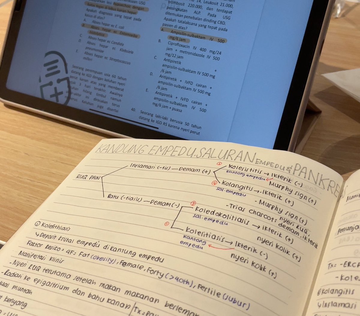 loui ✧.* tweet media