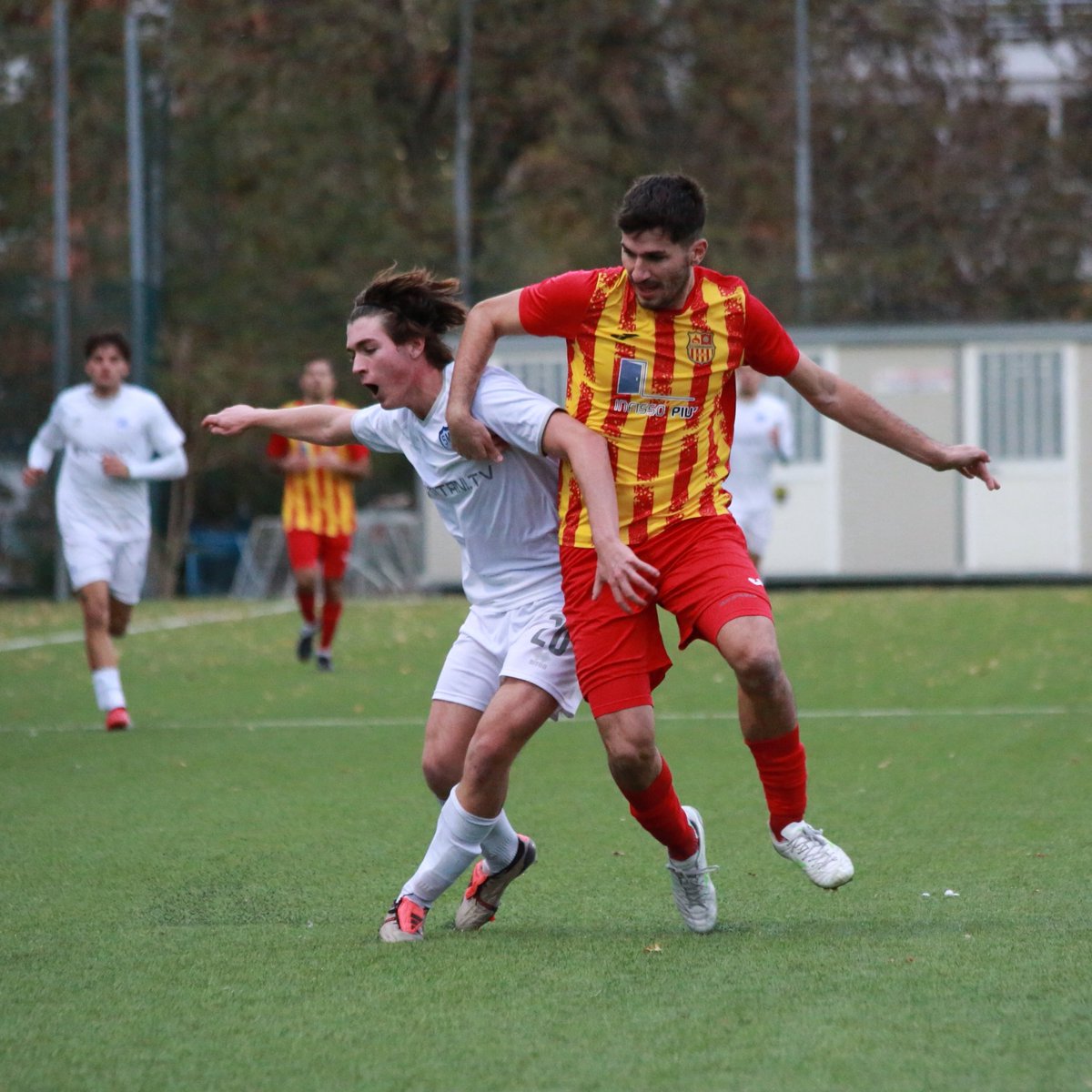 FSGC | official tweet media