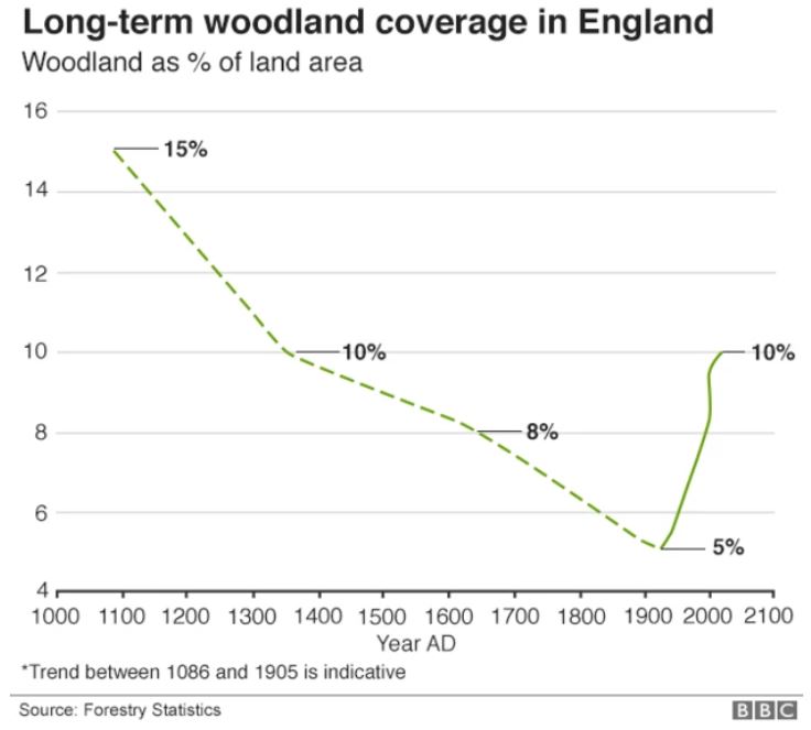 Spudd Redman tweet media