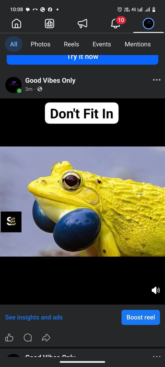 Cryptoglare's tweet photo. Stop Playing Small https://t.co/f3kOmz1rkA