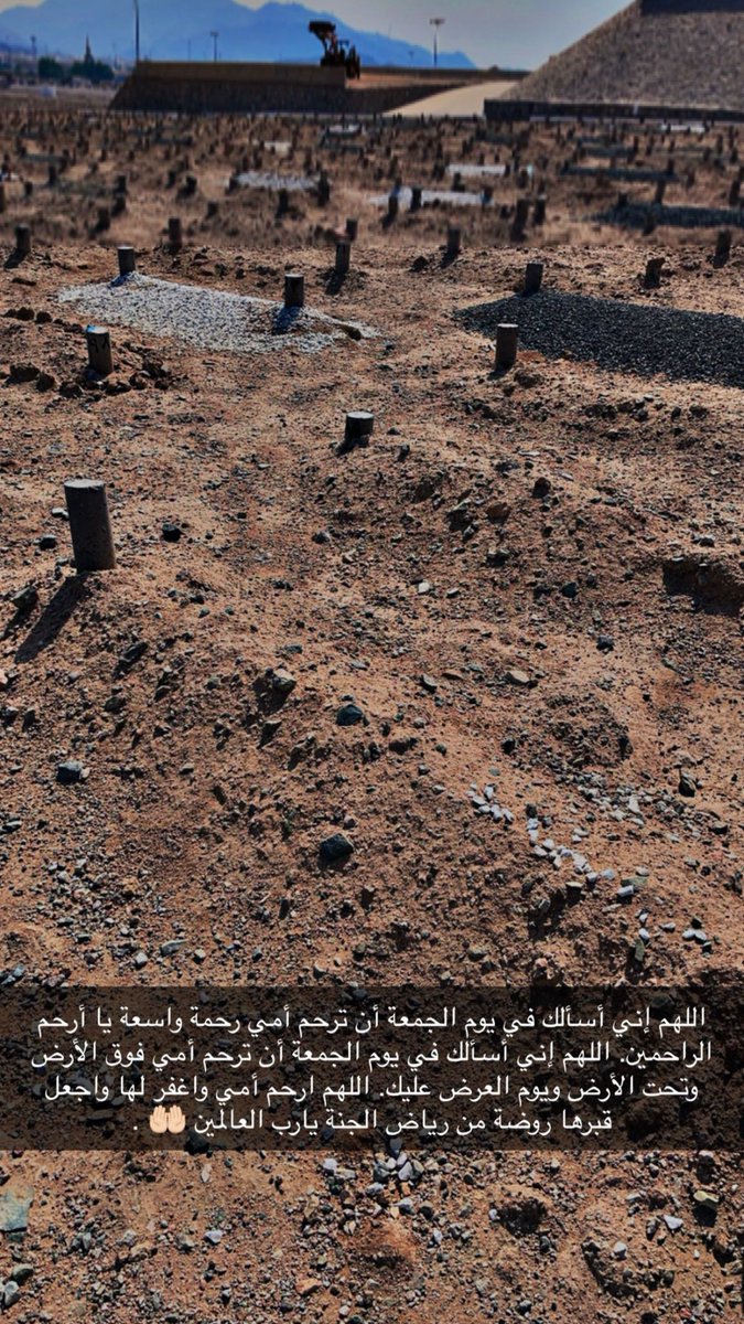 𝗔𝗹𝗼𝘁𝗮𝗶𝗯𝗶 tweet media