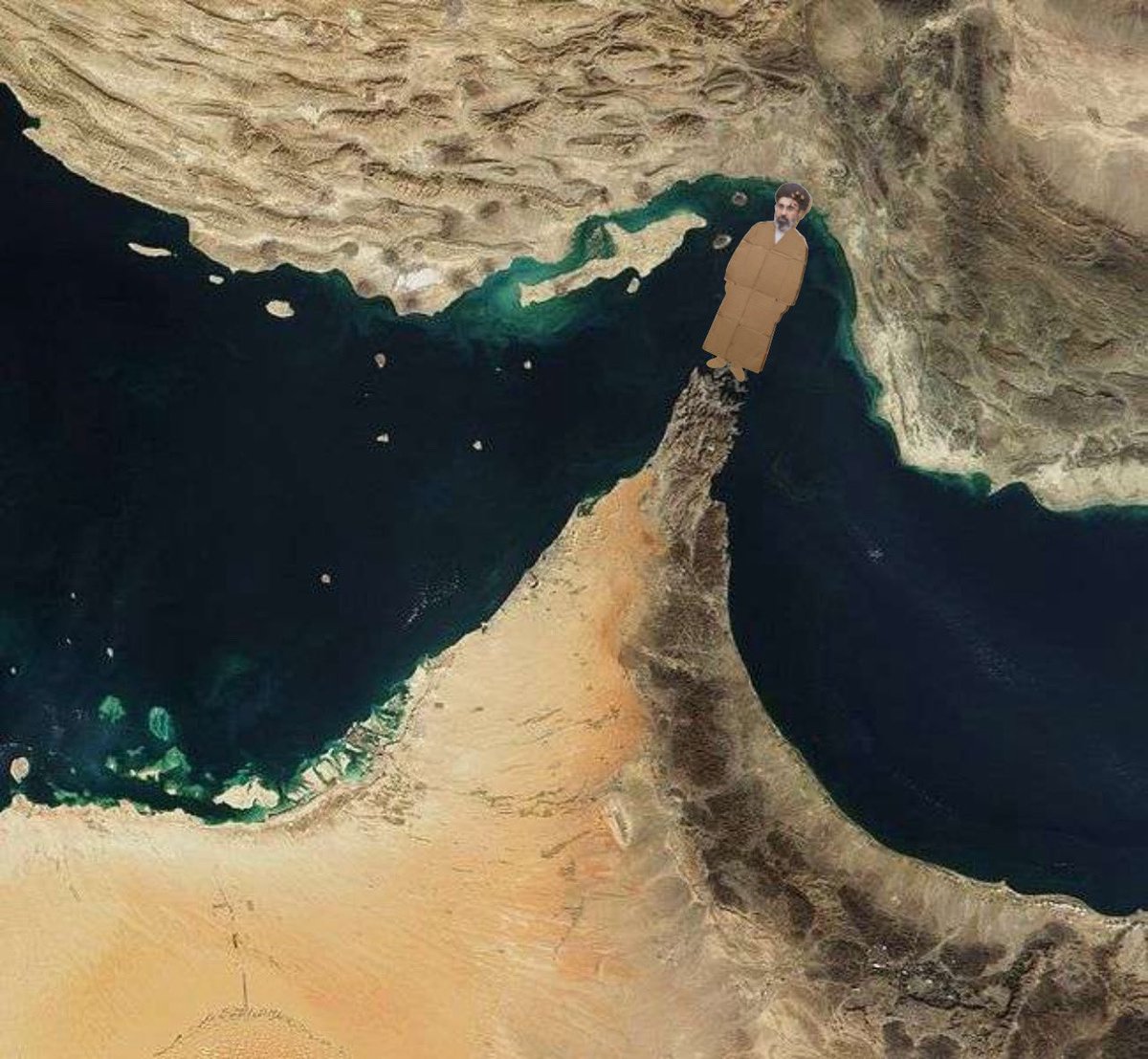 Gain of Fauci tweet media