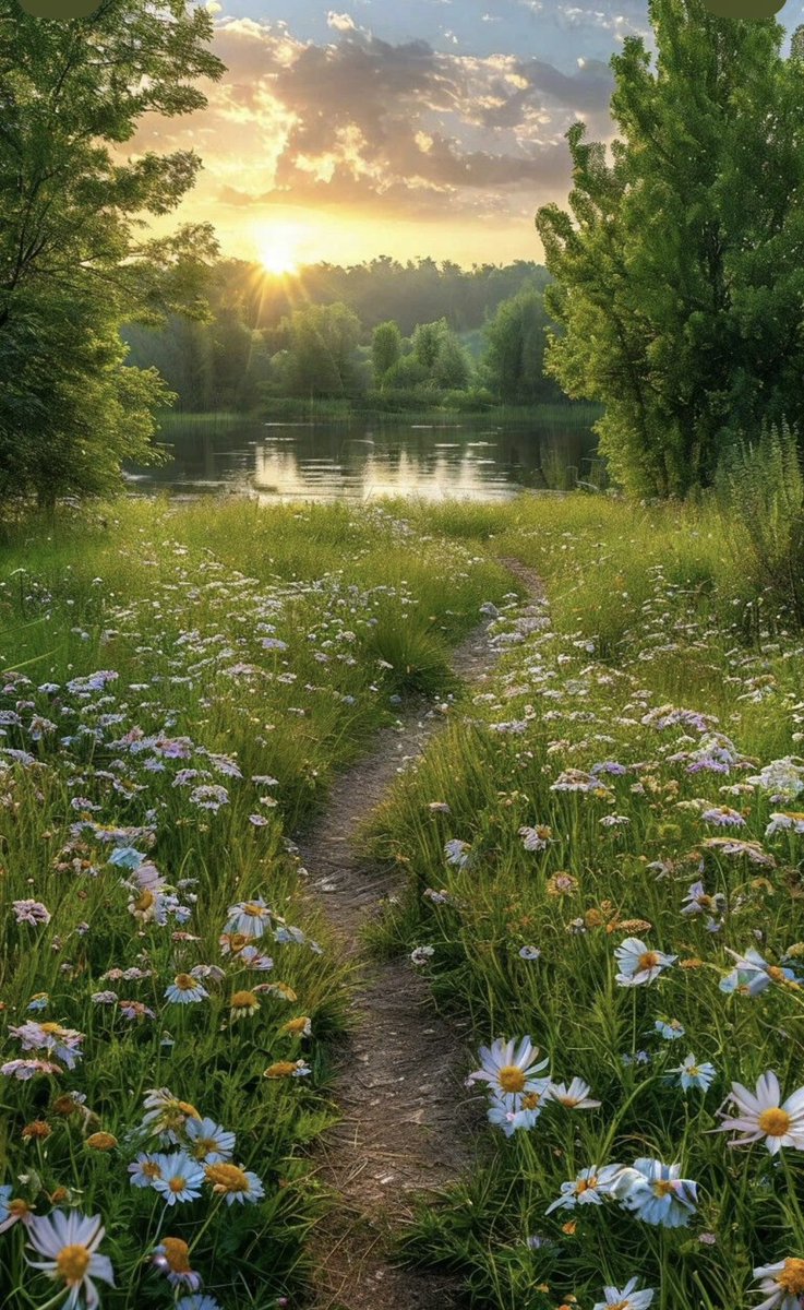 Jeanna 🇺🇸 tweet media