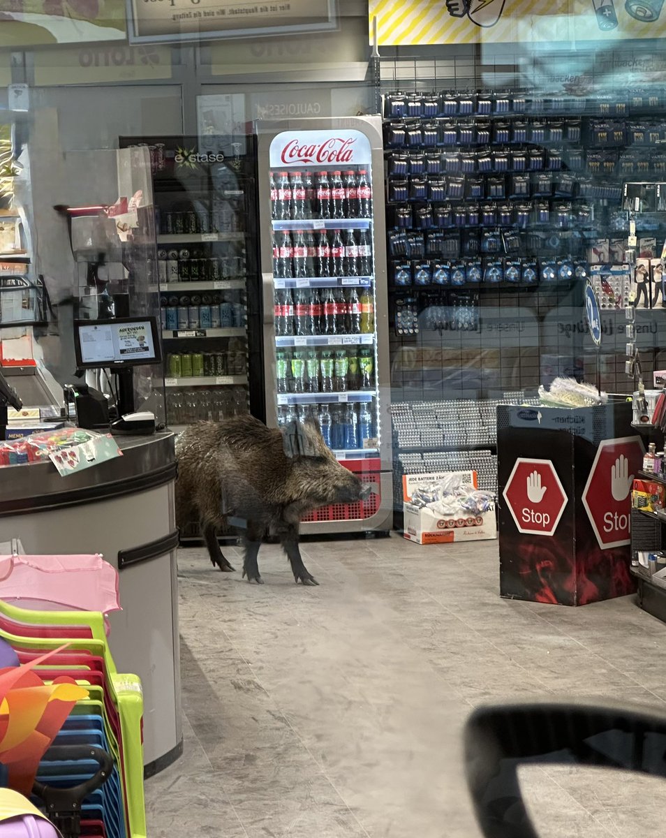 Polizei Berlin tweet media