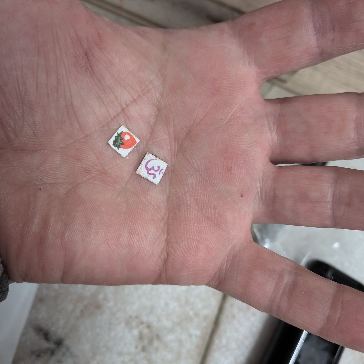 BOBSKI72 tweet media