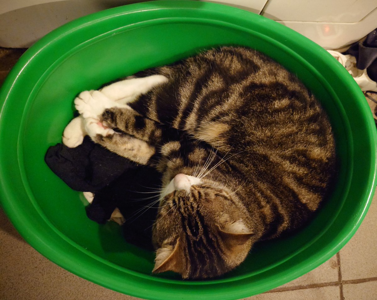 Ieva Reinverte tweet media