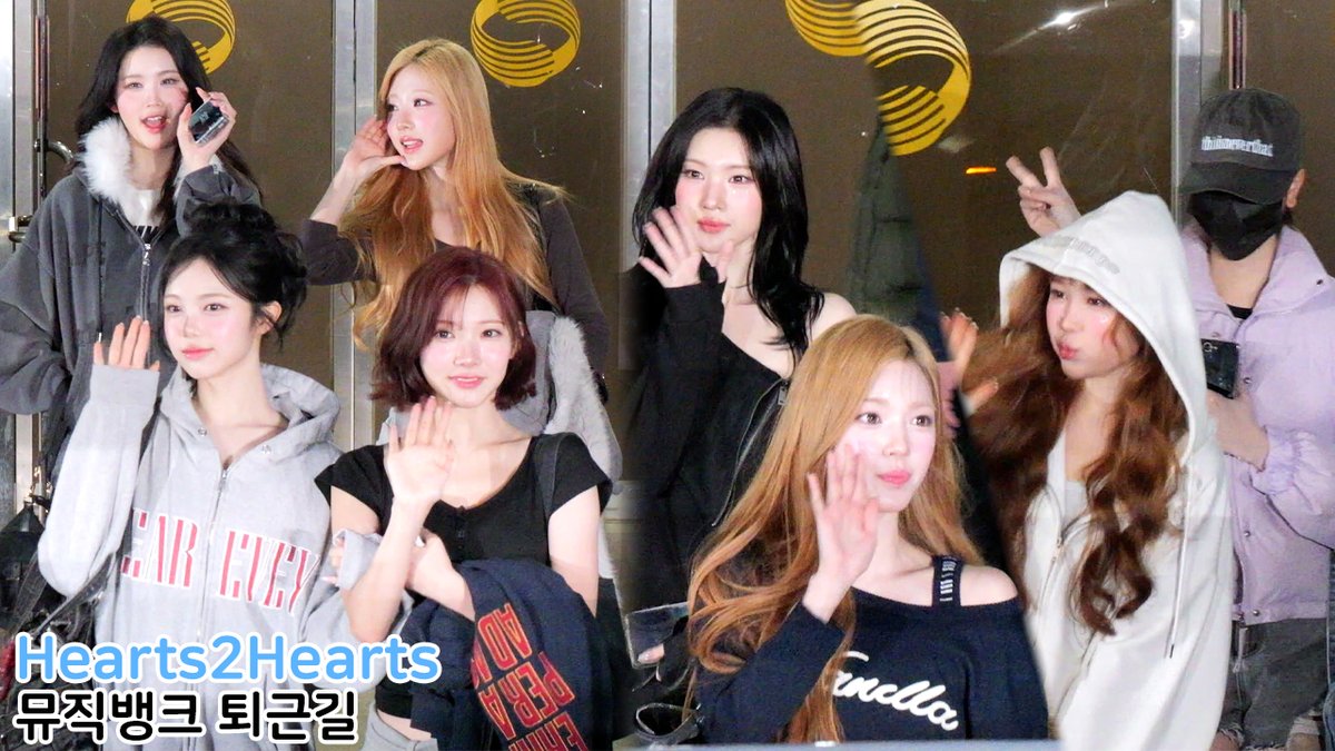 스피넬 tweet media