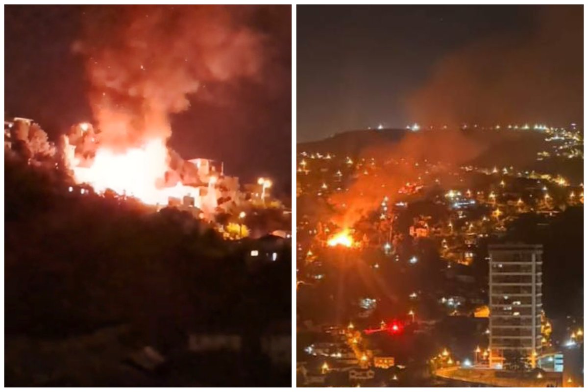 puranoticia tweet media