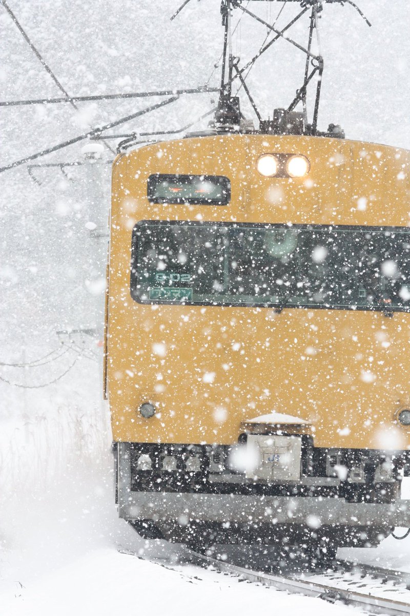 まーさん tweet media