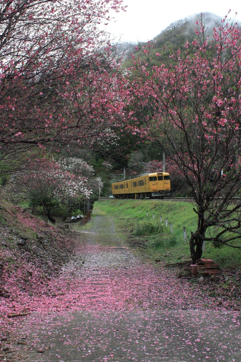 まーさん tweet media