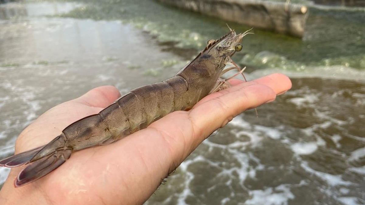 Universitat Politècnica de València tweet media