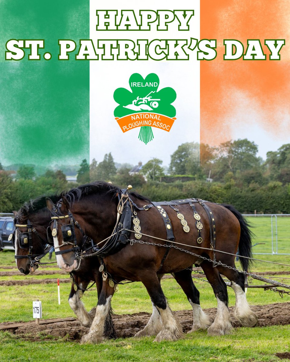 National Ploughing tweet media