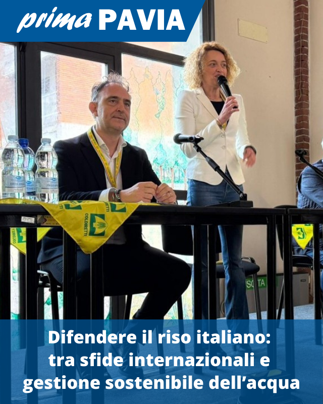 PrimaPavia's tweet image. LEGGI QUI: primapavia.it/attualita/dife…
#RisoItaliano #Mortara #AlessandroBeduschi #SilviaGaravaglia #ColdirettiPavia #RisorseIdriche #Notizie #News