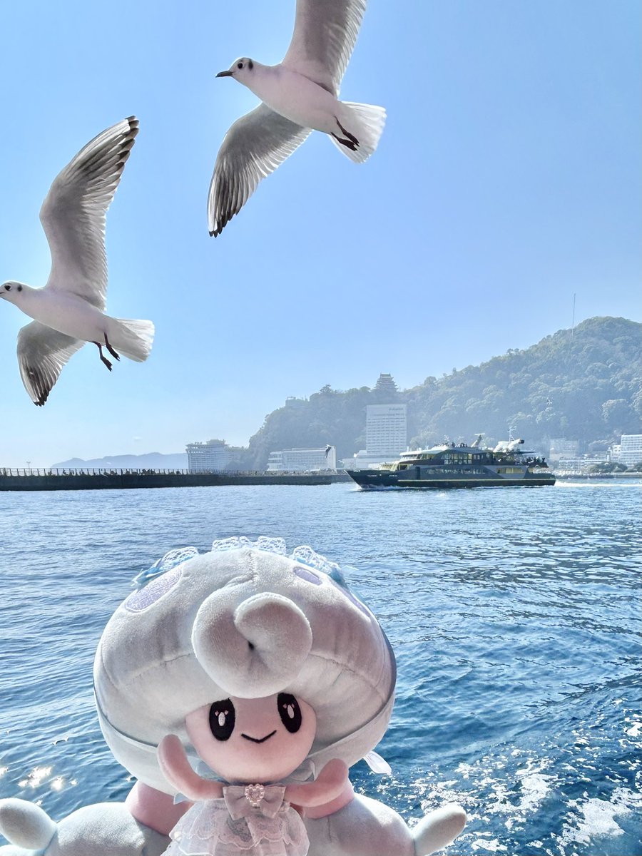 セリーナ🍬 tweet media