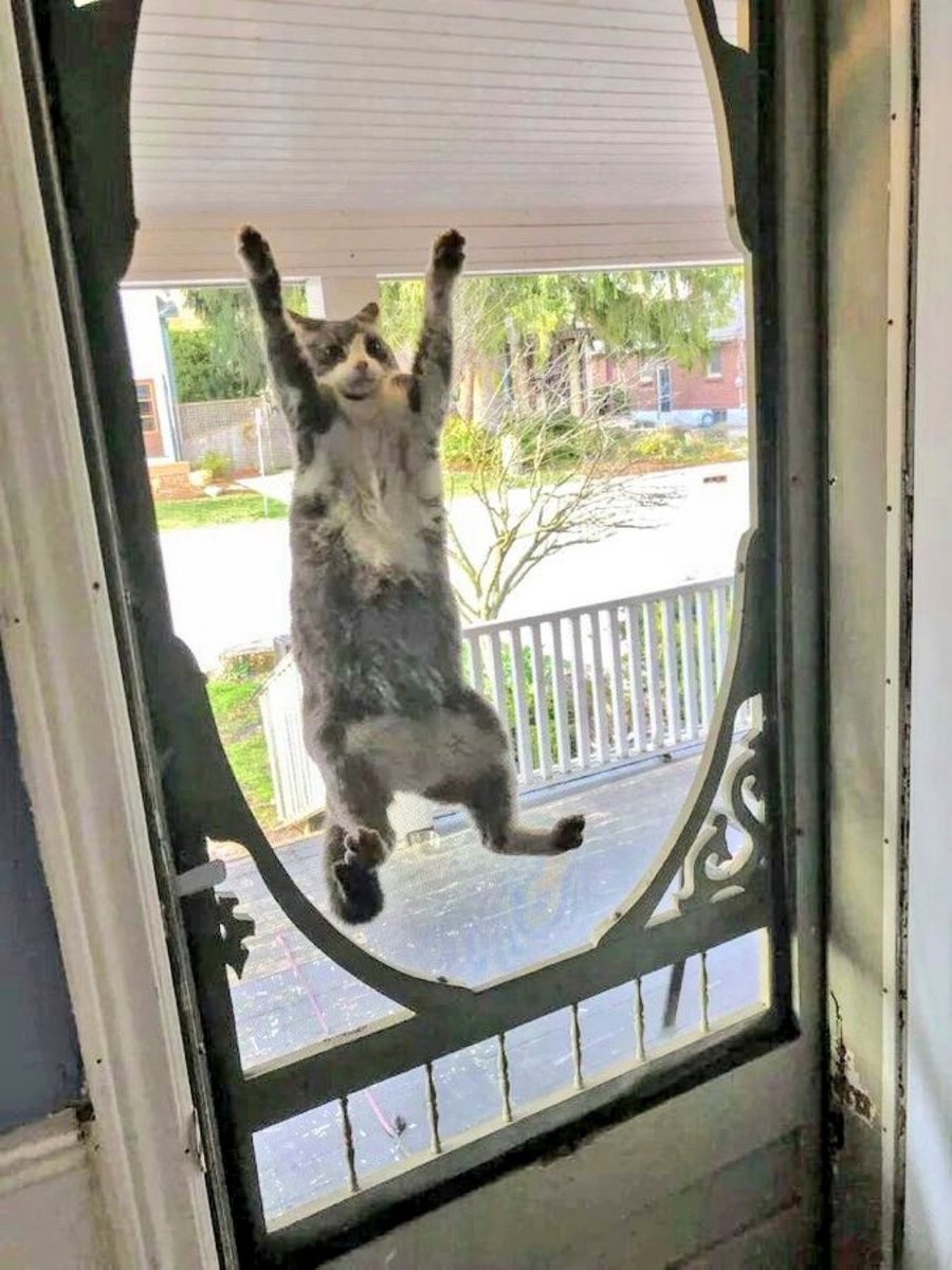 Paul Bronks tweet media