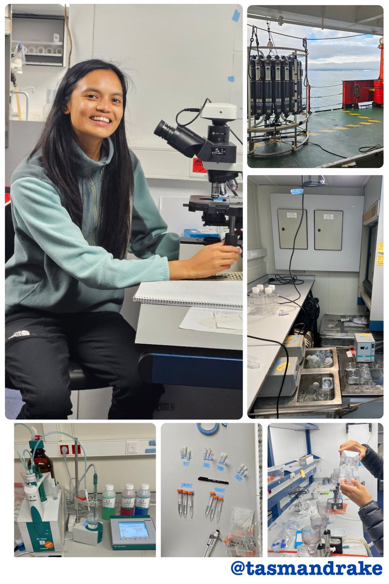 TASMANDRAKE tweet media